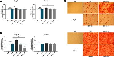 In vitro Exposure to Inflammatory Mediators Affects the Differentiation of Mesenchymal Progenitors